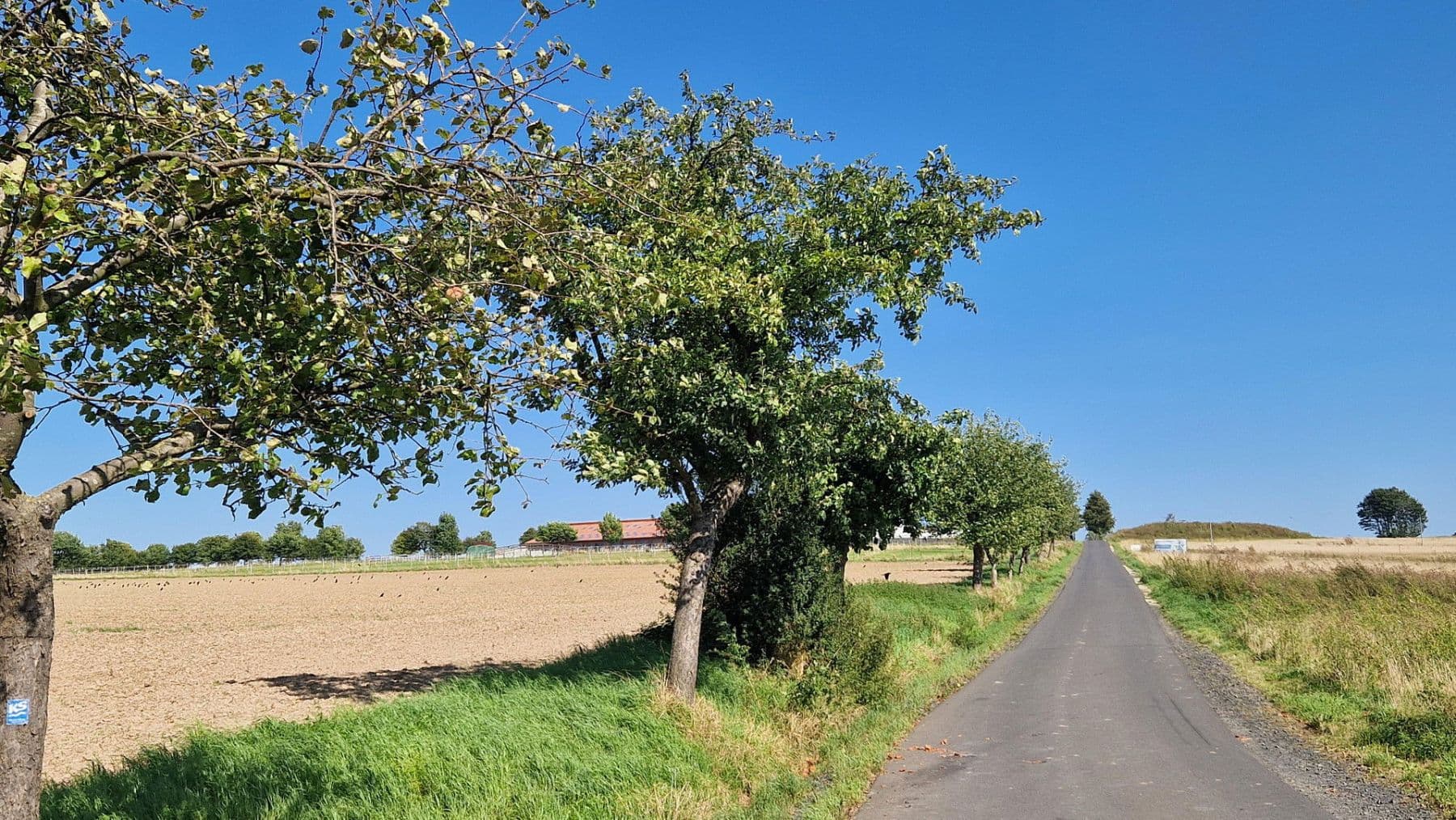 Prodej pozemku 637 m², Wiener Straße 21, Vellmar, Hessen Prodej pozemku 637 m², Wiener Straße 21, Vellmar, Hessen