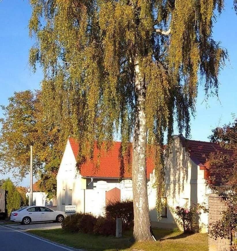 Pronájem chaty, chalupy, Dunajovice, Jihočeský kraj Pronájem chaty, chalupy, Dunajovice, Jihočeský kraj