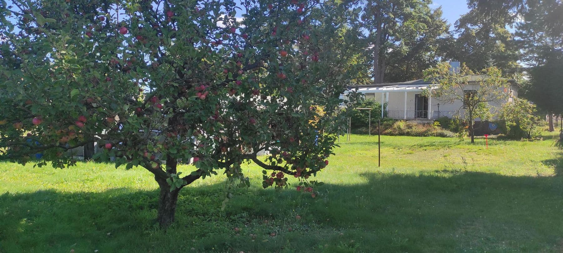 Prodej pozemku 605 m², Mahlsdorfer Straße 31, Hoppegarten, Braniborsko Prodej pozemku 605 m², Mahlsdorfer Straße 31, Hoppegarten, Braniborsko