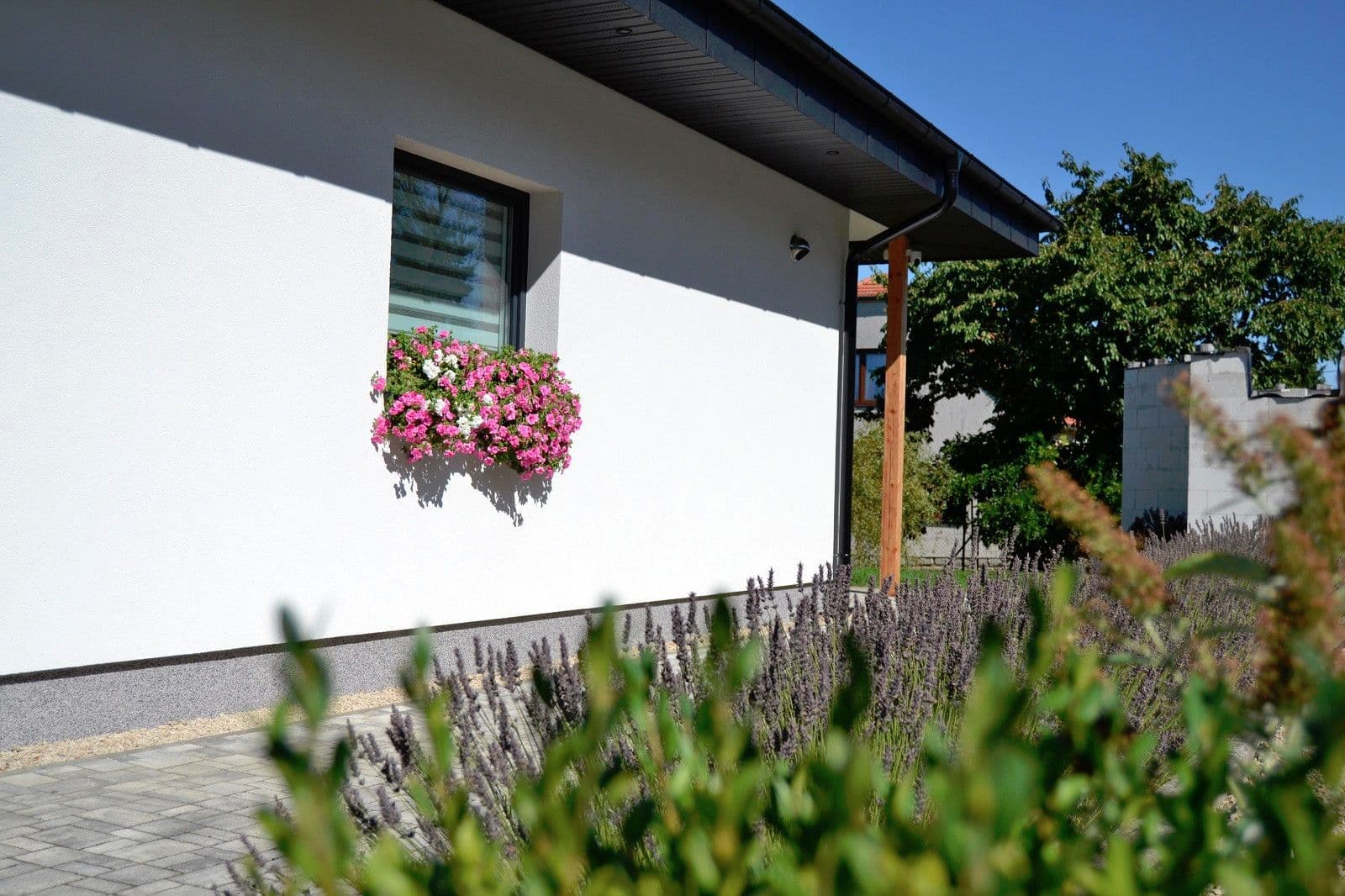 Prodej domu 132 m², pozemek 1.800 m², Kakejcov, Plzeňský kraj Prodej domu 132 m², pozemek 1.800 m², Kakejcov, Plzeňský kraj