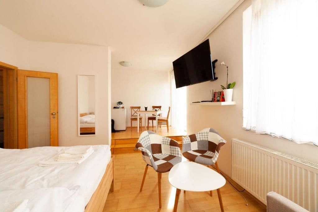 Pronájem bytu 1+kk 30 m², Lukášova, Praha, Praha Pronájem bytu 1+kk 30 m², Lukášova, Praha, Praha