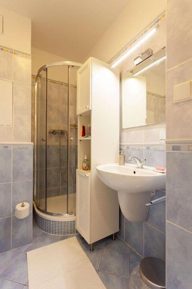 Pronájem bytu 1+kk 30 m², Lukášova, Praha, Praha Pronájem bytu 1+kk 30 m², Lukášova, Praha, Praha