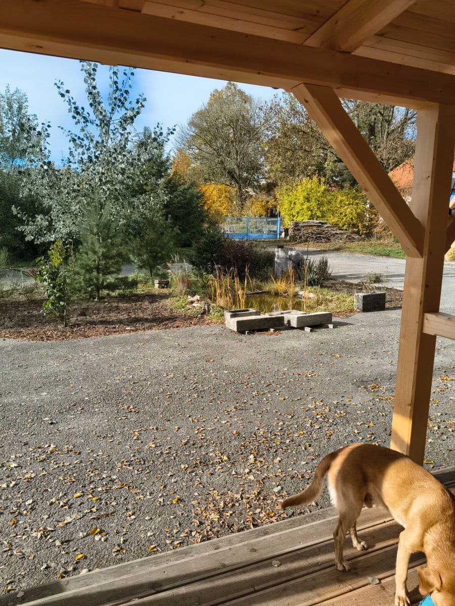 Pronájem bytu 1+1 50 m², Mírová, Studená, Jihočeský kraj Pronájem bytu 1+1 50 m², Mírová, Studená, Jihočeský kraj