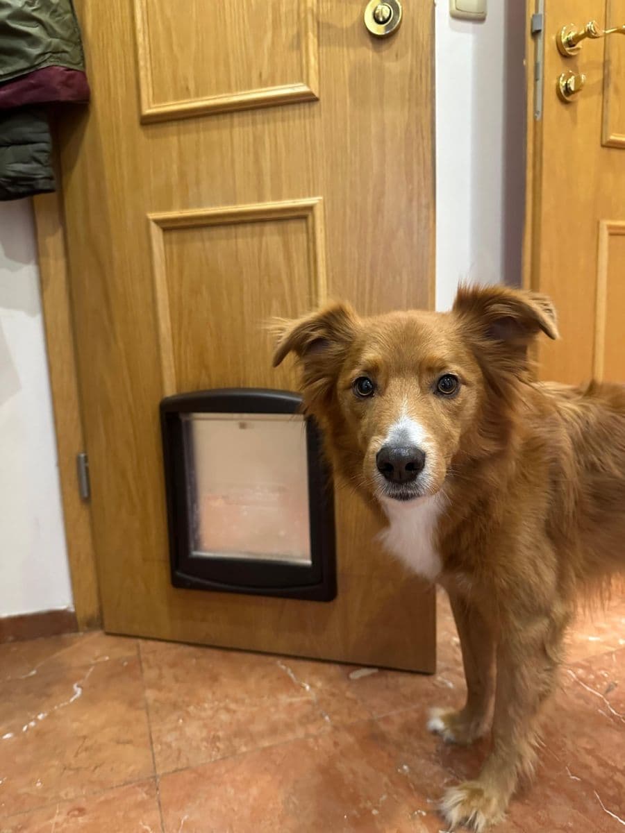 Pronájem bytu 3+1 87 m², Odlehlá, Praha, Praha Pronájem bytu 3+1 87 m², Odlehlá, Praha, Praha