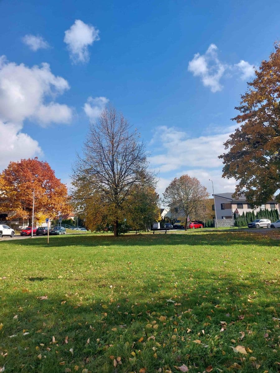 Prodej bytu 5+1 93 m², Zimmlerova, Ostrava, Moravskoslezský kraj Prodej bytu 5+1 93 m², Zimmlerova, Ostrava, Moravskoslezský kraj