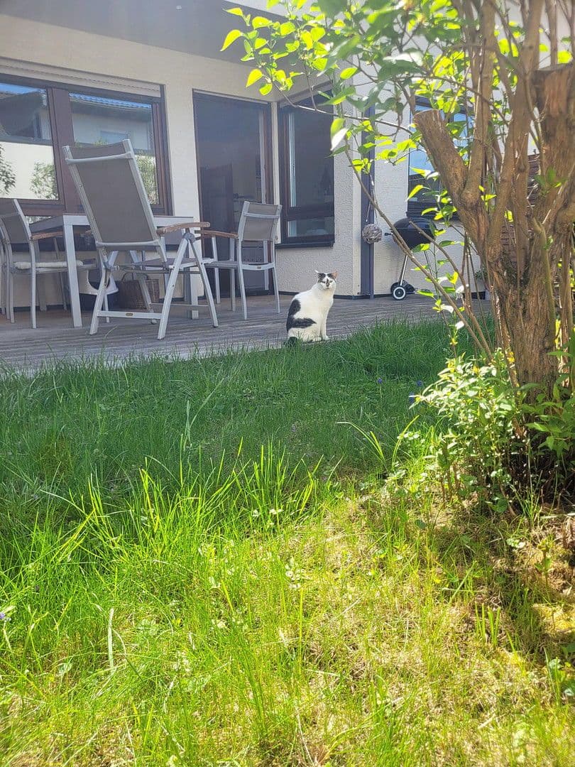 Prodej bytu 2+1 63 m², Steinenbronn, Bádensko-Württembersko Prodej bytu 2+1 63 m², Steinenbronn, Bádensko-Württembersko