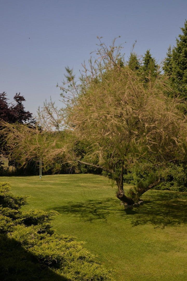 Prodej domu 277 m², pozemek 3.439 m², Treuenbrietzen, Braniborsko Prodej domu 277 m², pozemek 3.439 m², Treuenbrietzen, Braniborsko