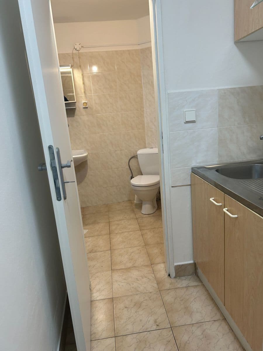 Pronájem bytu 1+kk 25 m², V Nových Vokovicích, Praha, Praha Pronájem bytu 1+kk 25 m², V Nových Vokovicích, Praha, Praha