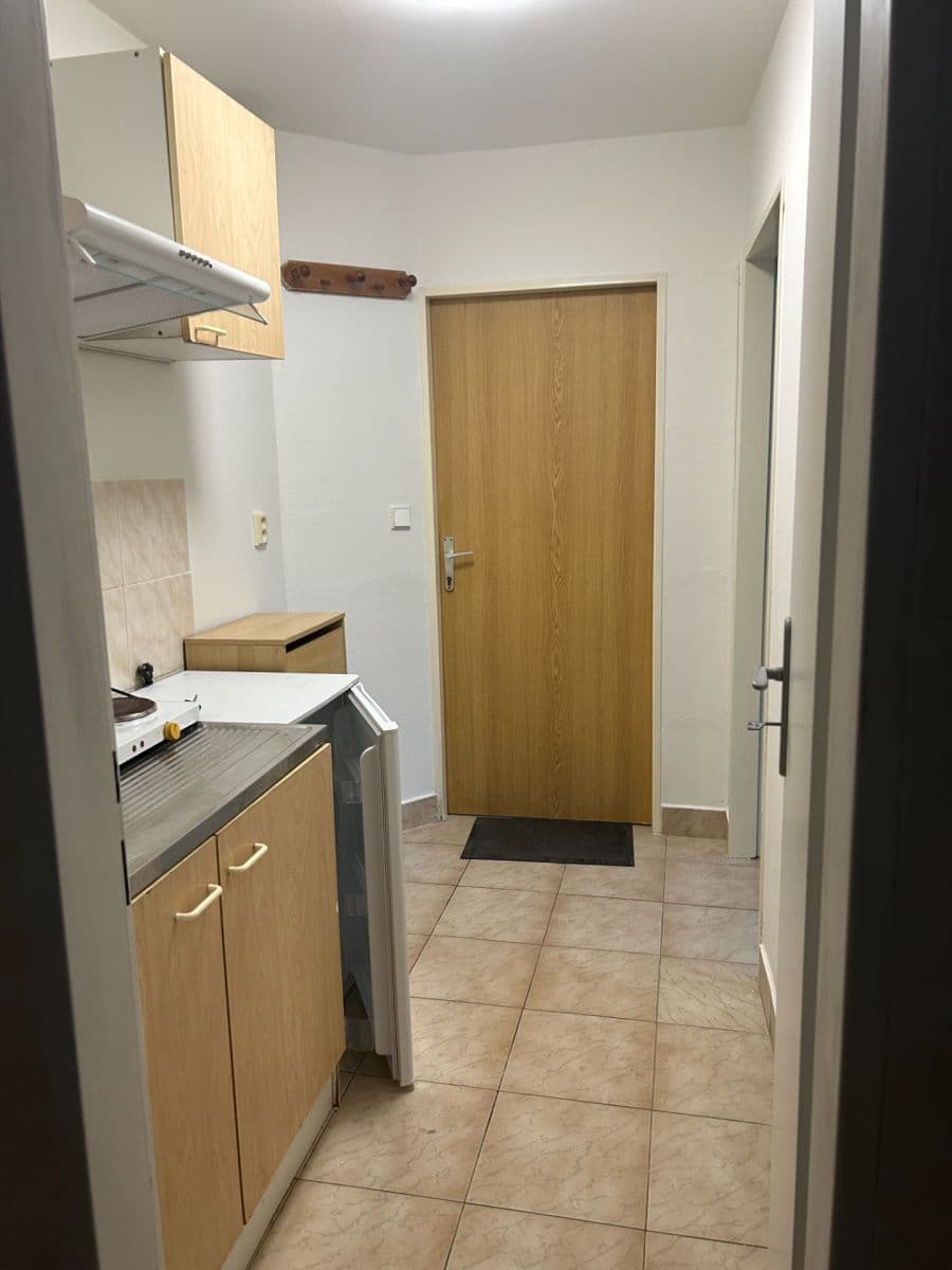 Pronájem bytu 1+kk 25 m², V Nových Vokovicích, Praha, Praha Pronájem bytu 1+kk 25 m², V Nových Vokovicích, Praha, Praha