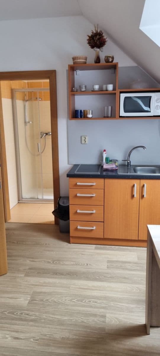 Pronájem bytu 1+kk 21 m², Olešnice, Jihočeský kraj Pronájem bytu 1+kk 21 m², Olešnice, Jihočeský kraj