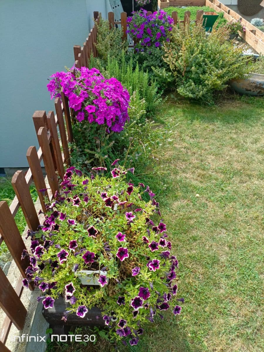 Prodej domu 140 m², pozemek 737 m², Hrušecká, Týnec, Jihomoravský kraj Prodej domu 140 m², pozemek 737 m², Hrušecká, Týnec, Jihomoravský kraj