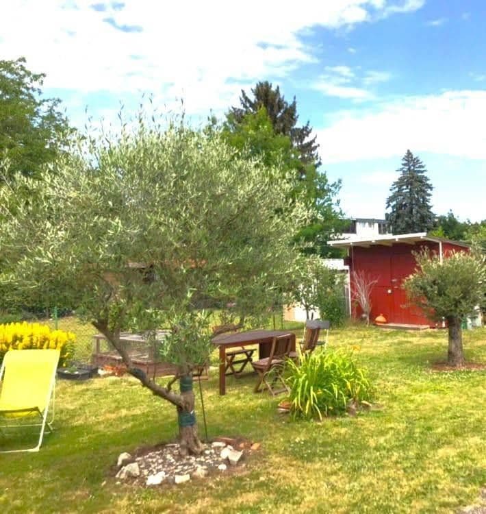 Prodej domu 76 m², pozemek 203 m², Frankfurt, Hessen Prodej domu 76 m², pozemek 203 m², Frankfurt, Hessen