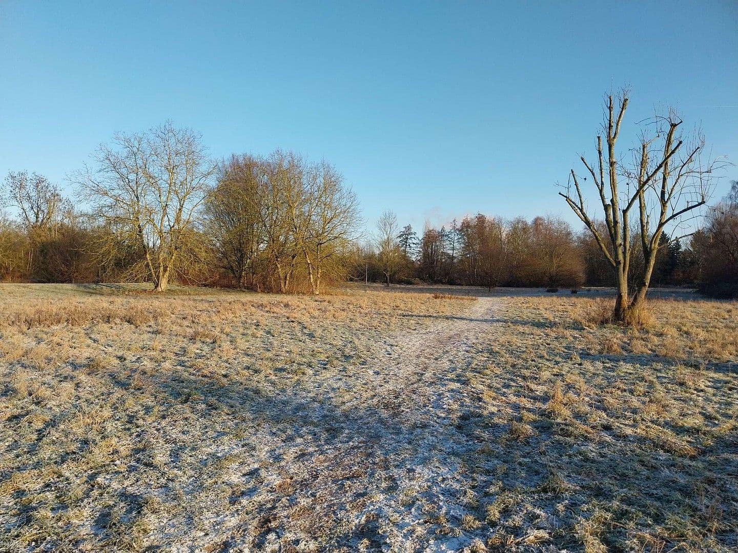 Prodej domu 76 m², pozemek 203 m², Frankfurt, Hessen Prodej domu 76 m², pozemek 203 m², Frankfurt, Hessen