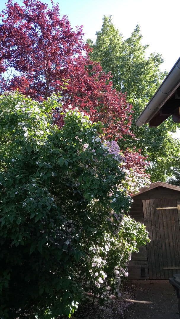 Prodej domu 137 m², pozemek 504 m², Brieselang, Braniborsko Prodej domu 137 m², pozemek 504 m², Brieselang, Braniborsko