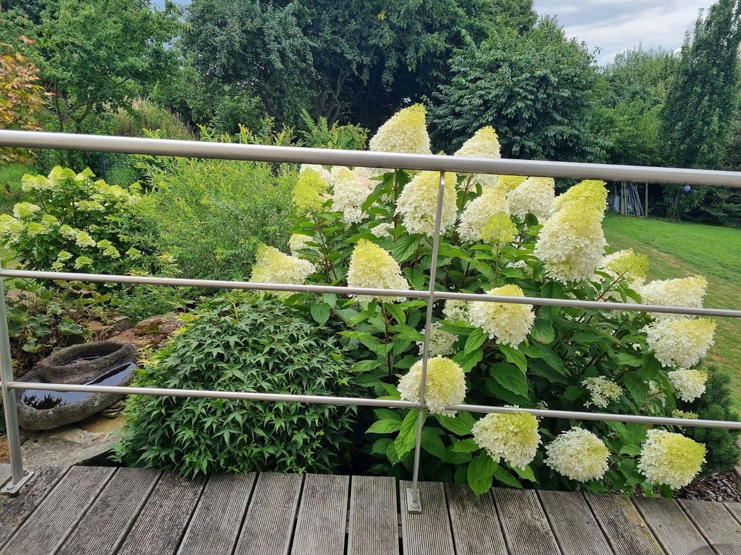 Prodej domu 273 m², pozemek 655 m², Einbeck, Dolní Sasko Prodej domu 273 m², pozemek 655 m², Einbeck, Dolní Sasko