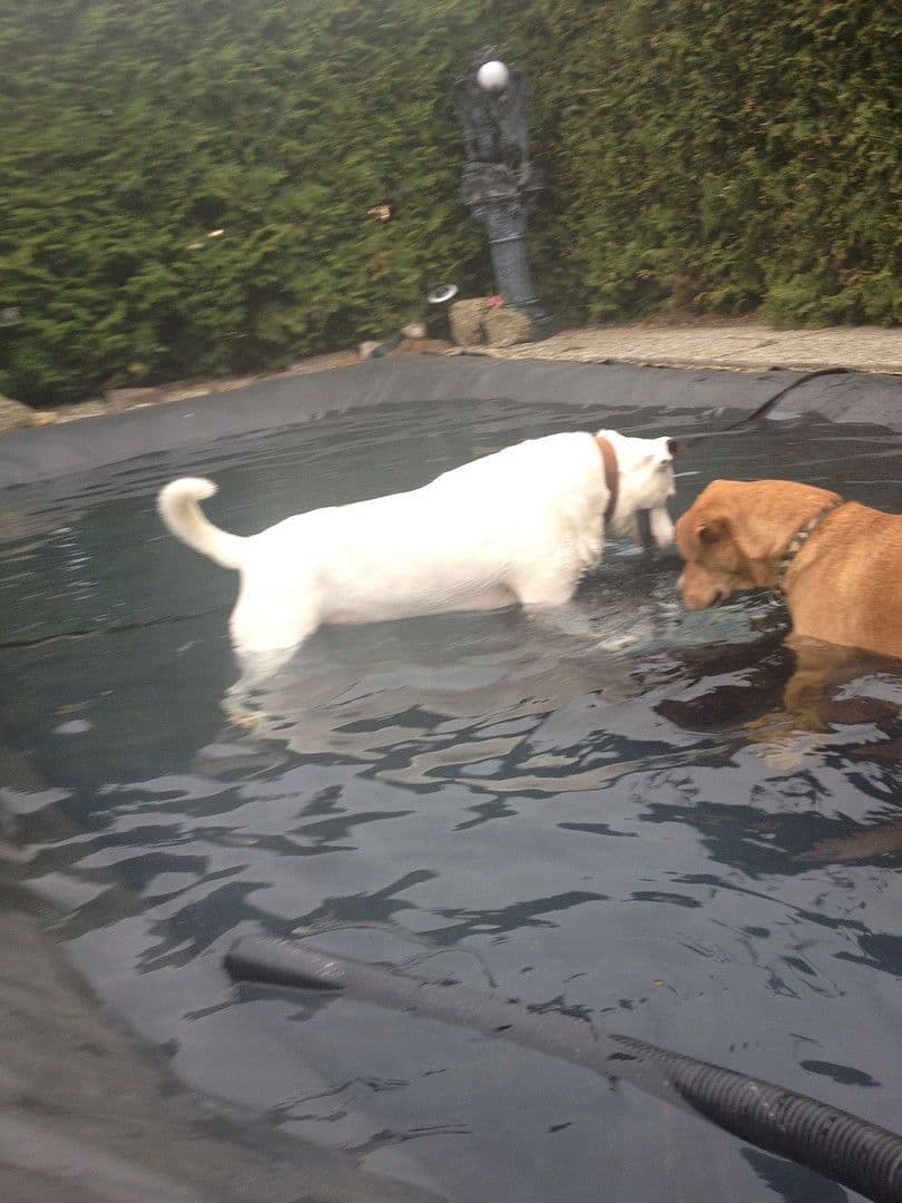 Prodej domu 228 m², pozemek 1.300 m², Falkenstein, Bavorsko Prodej domu 228 m², pozemek 1.300 m², Falkenstein, Bavorsko