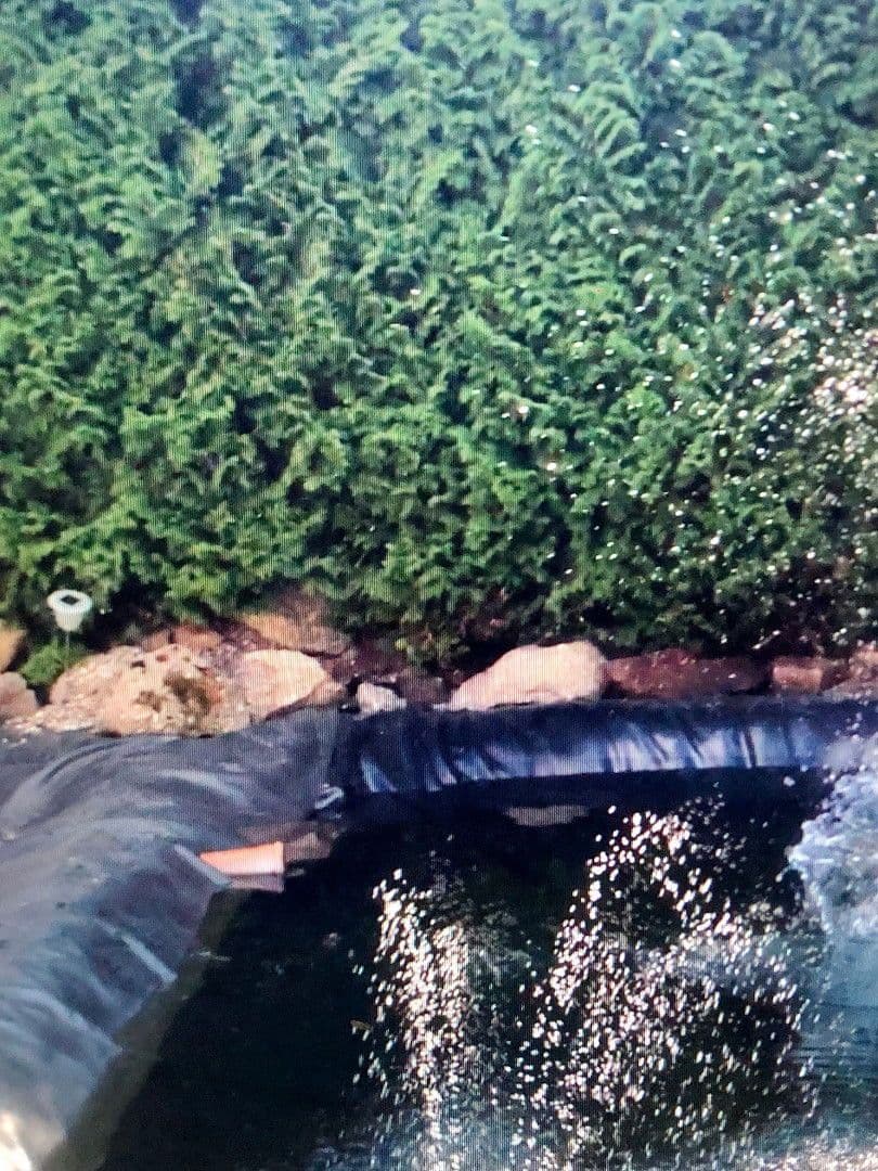 Prodej domu 228 m², pozemek 1.300 m², Falkenstein, Bavorsko Prodej domu 228 m², pozemek 1.300 m², Falkenstein, Bavorsko