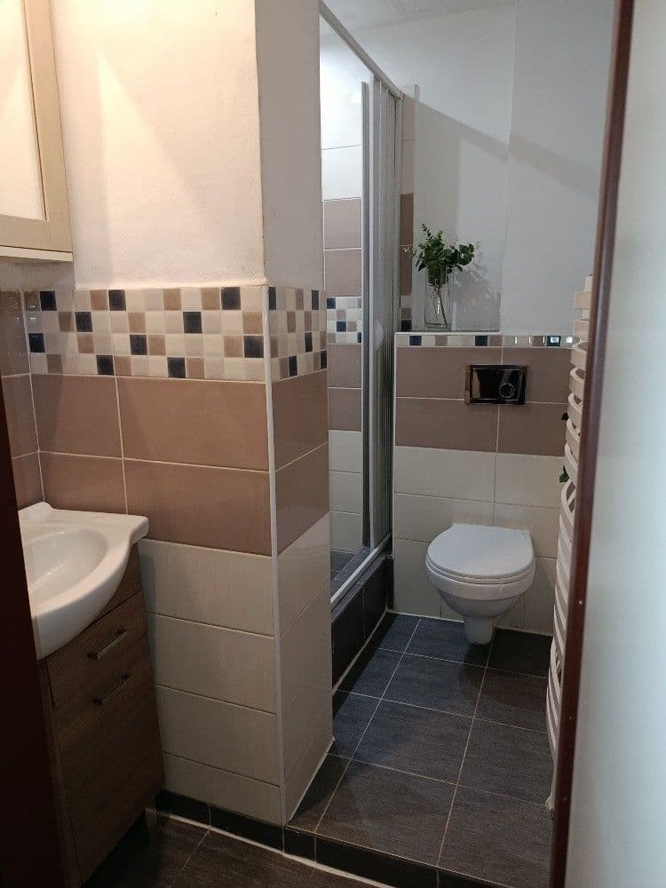 Pronájem bytu 1+1 40 m², Sokolovská, Karlovy Vary, Karlovarský kraj Pronájem bytu 1+1 40 m², Sokolovská, Karlovy Vary, Karlovarský kraj