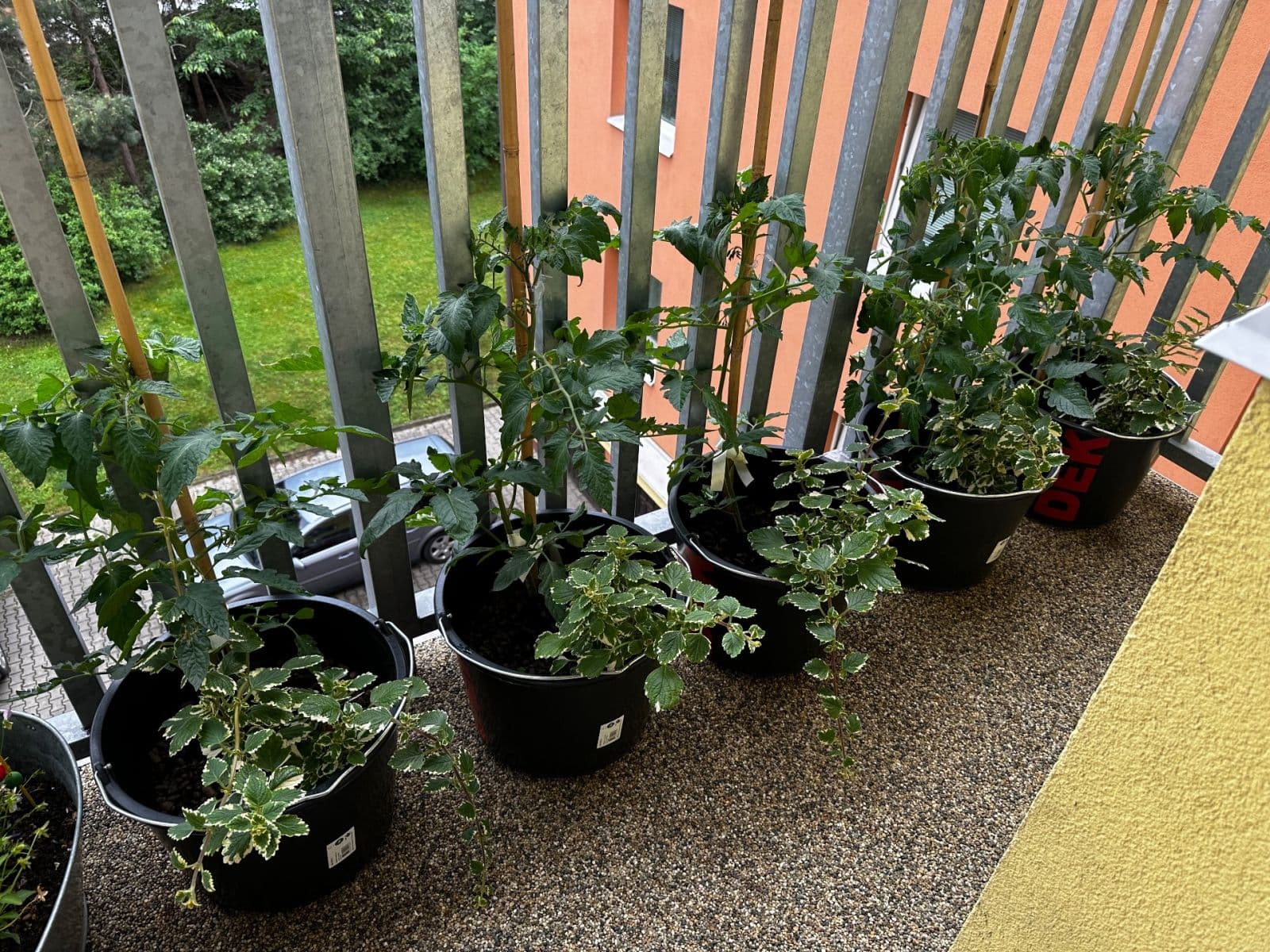 Prodej bytu 4+1 110 m², Volmanova, Čelákovice, Středočeský kraj Prodej bytu 4+1 110 m², Volmanova, Čelákovice, Středočeský kraj