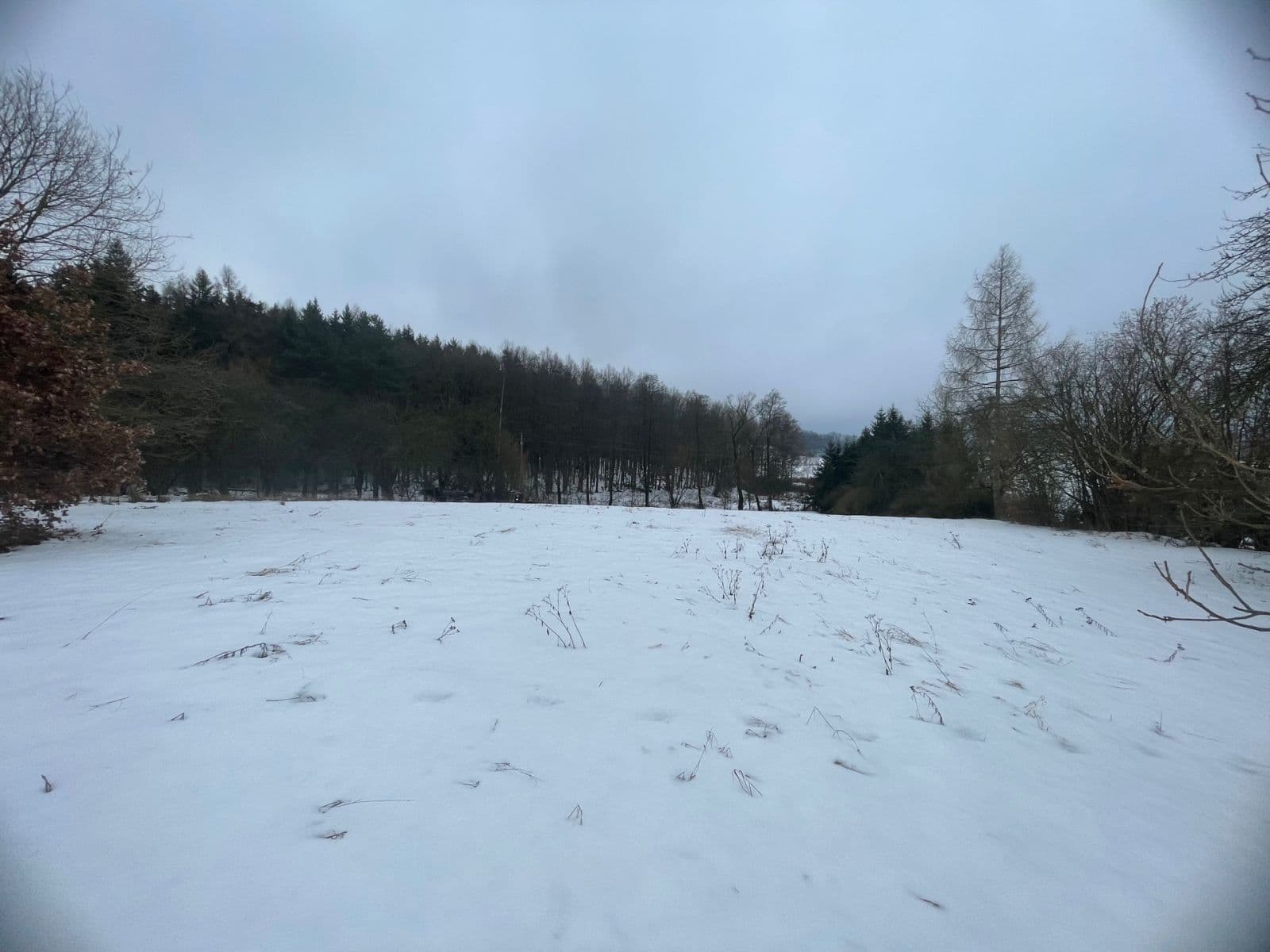 Prodej pozemku 5.000 m², Sadov, Karlovarský kraj Prodej pozemku 5.000 m², Sadov, Karlovarský kraj