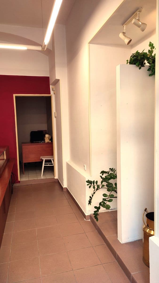 Pronájem nebytového prostoru 20 m², Smilova, Pardubice, Pardubický kraj Pronájem nebytového prostoru 20 m², Smilova, Pardubice, Pardubický kraj