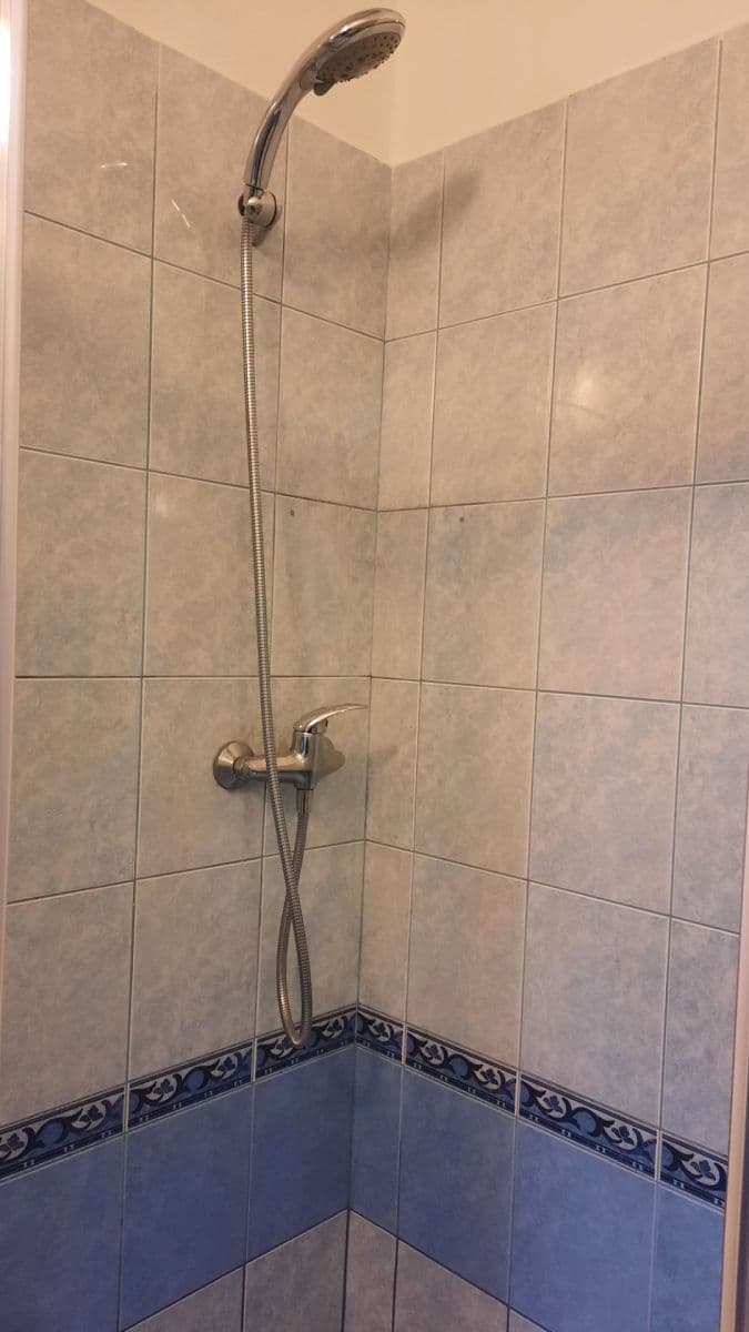 Pronájem bytu 2+1 50 m², Boleslavova, Praha, Praha Pronájem bytu 2+1 50 m², Boleslavova, Praha, Praha