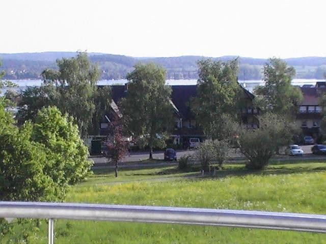 Prodej bytu 4+1 117 m², Reichenau, Bádensko-Württembersko Prodej bytu 4+1 117 m², Reichenau, Bádensko-Württembersko