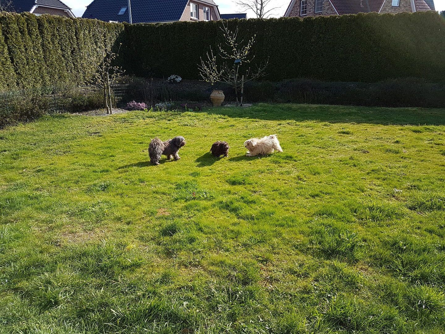 Prodej domu 115 m², pozemek 634 m², Hammoor, Šlesvicko-Holštýnsko Prodej domu 115 m², pozemek 634 m², Hammoor, Šlesvicko-Holštýnsko