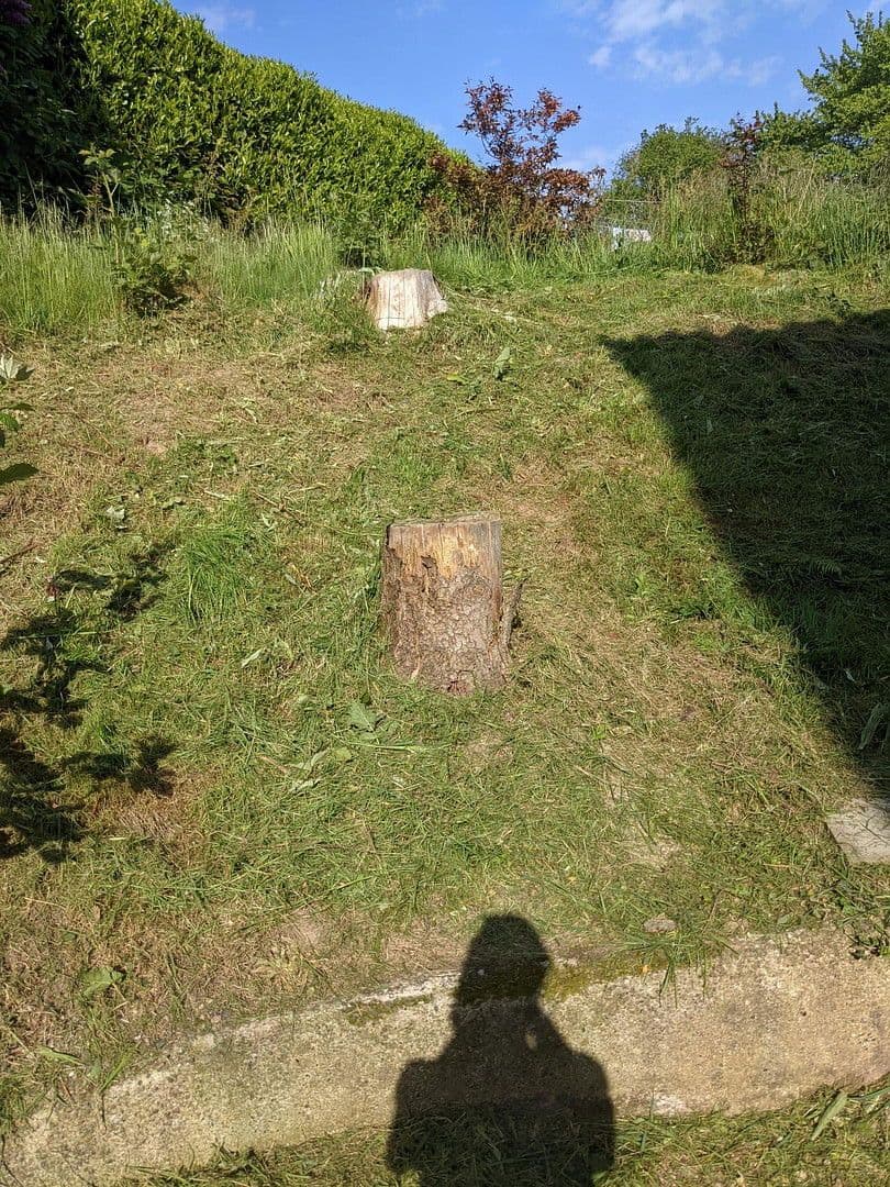 Pronájem bytu 1+1 28 m², Luschendorfer Straße Nr. 1, Schürsdorf, Šlesvicko-Holštýnsko Pronájem bytu 1+1 28 m², Luschendorfer Straße Nr. 1, Schürsdorf, Šlesvicko-Holštýnsko