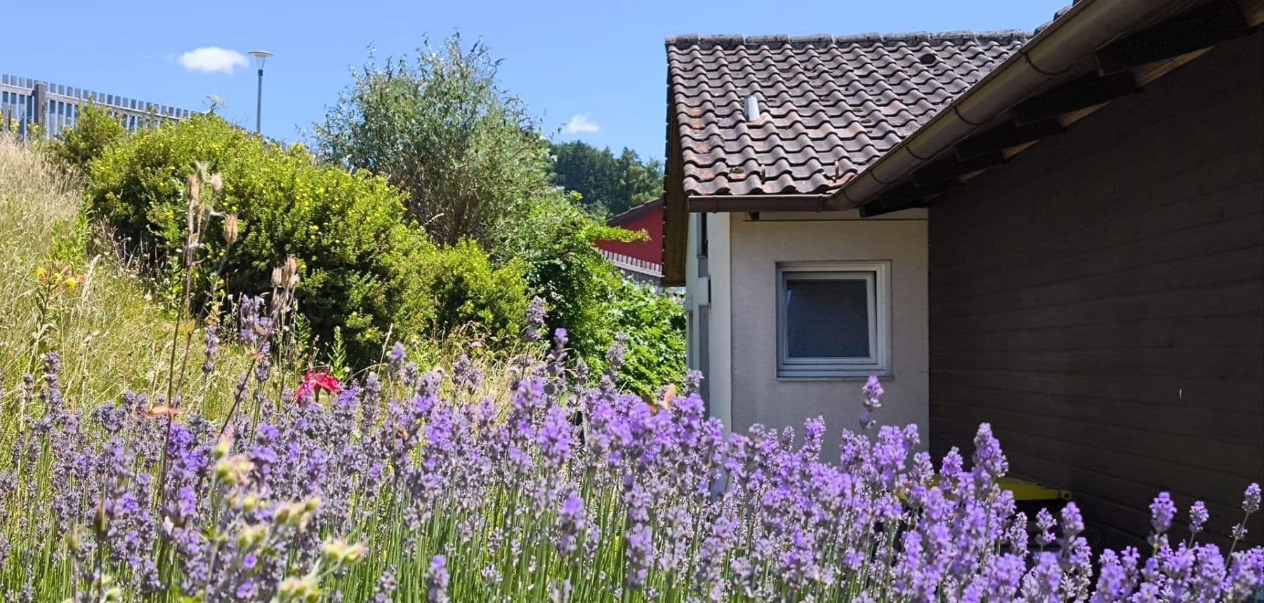 Prodej domu 170 m², pozemek 925 m², Wangen im Allgäu, Bádensko-Württembersko Prodej domu 170 m², pozemek 925 m², Wangen im Allgäu, Bádensko-Württembersko