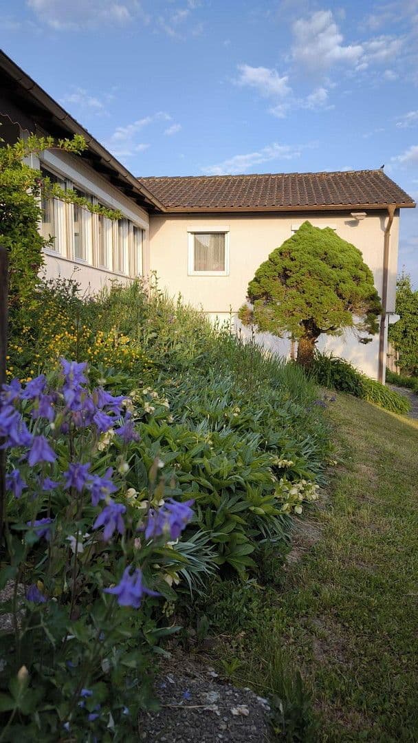 Prodej domu 170 m², pozemek 925 m², Wangen im Allgäu, Bádensko-Württembersko Prodej domu 170 m², pozemek 925 m², Wangen im Allgäu, Bádensko-Württembersko