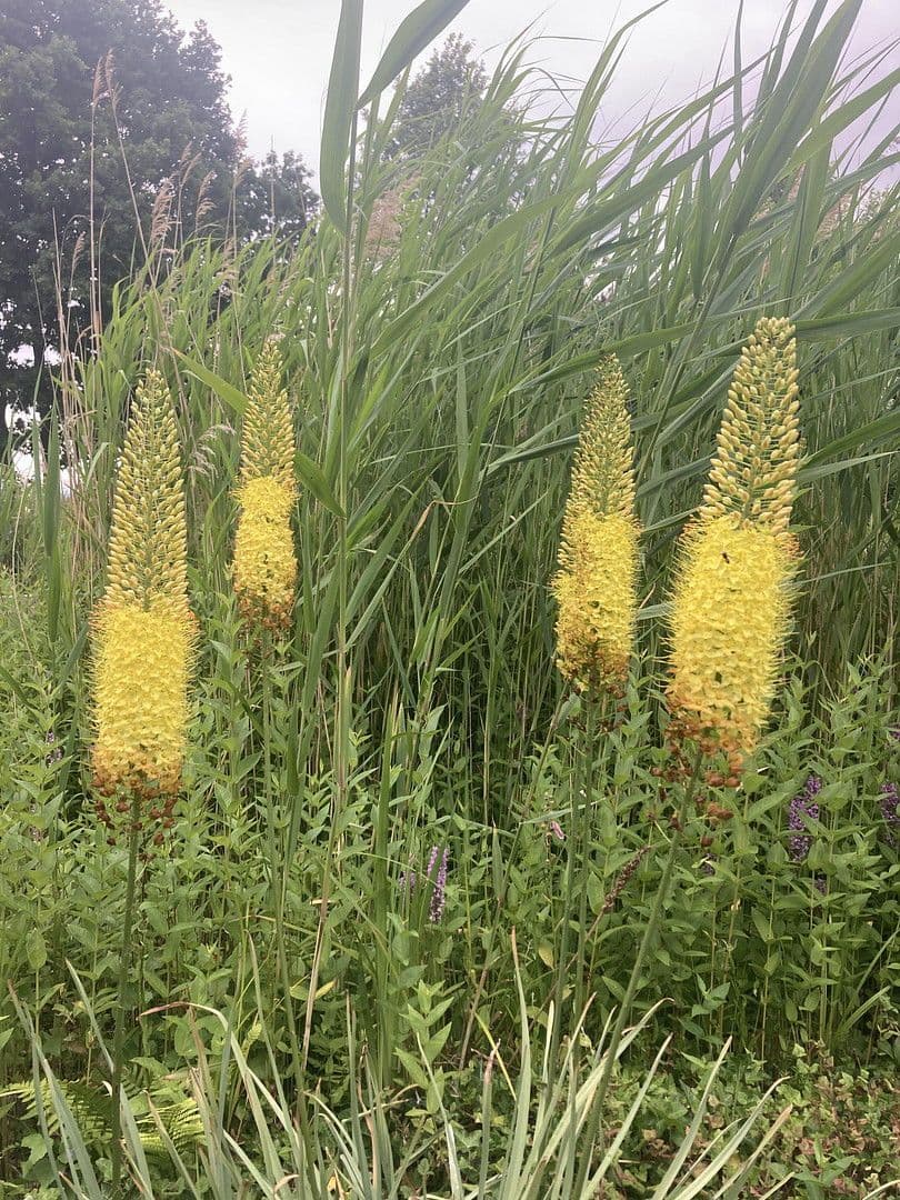 Prodej domu 180 m², pozemek 2.889 m², Nienstädt, Dolní Sasko Prodej domu 180 m², pozemek 2.889 m², Nienstädt, Dolní Sasko