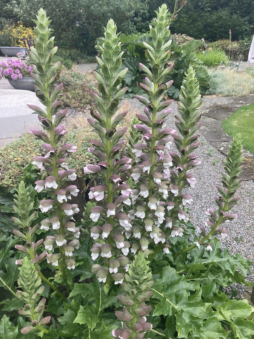 Prodej domu 180 m², pozemek 2.889 m², Nienstädt, Dolní Sasko Prodej domu 180 m², pozemek 2.889 m², Nienstädt, Dolní Sasko