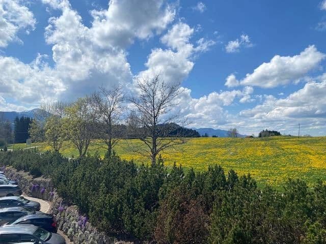 Pronájem kanceláře 400 m², Sulzberg, Bavorsko Pronájem kanceláře 400 m², Sulzberg, Bavorsko