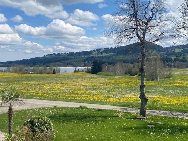 Pronájem kanceláře 400 m², Sulzberg, Bavorsko Pronájem kanceláře 400 m², Sulzberg, Bavorsko