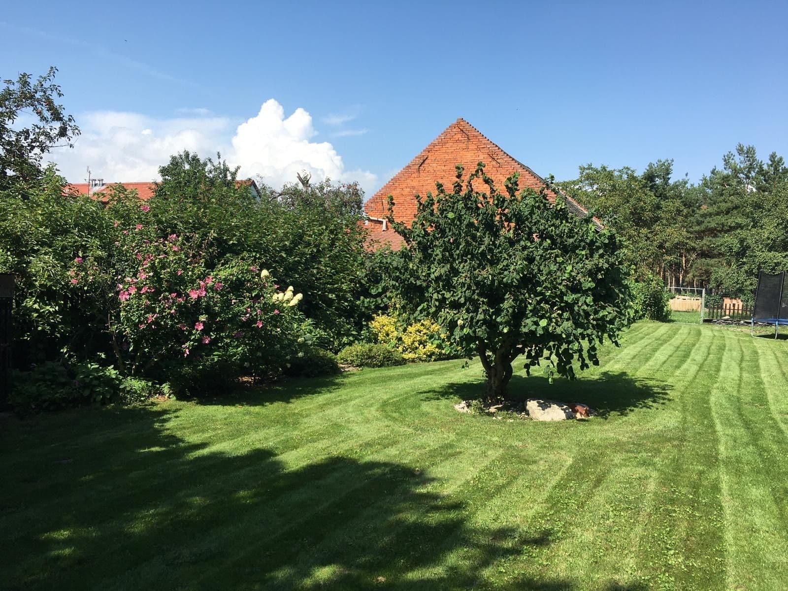 Prodej domu 367 m², pozemek 3.686 m², Svárov, Troubky, Olomoucký kraj Prodej domu 367 m², pozemek 3.686 m², Svárov, Troubky, Olomoucký kraj