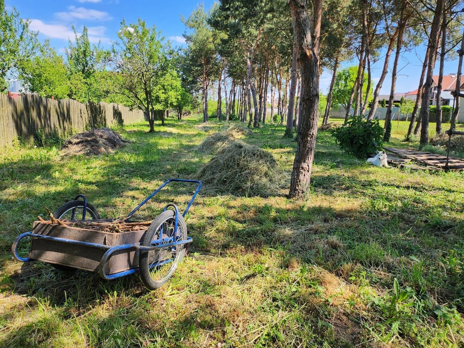 Prodej domu 367 m², pozemek 3.686 m², Svárov, Troubky, Olomoucký kraj Prodej domu 367 m², pozemek 3.686 m², Svárov, Troubky, Olomoucký kraj