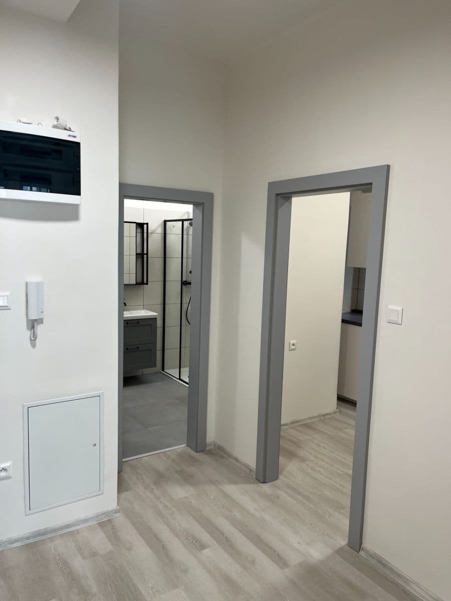 Pronájem bytu 2+1 54 m², Milady Horákové, Brno, Jihomoravský kraj Pronájem bytu 2+1 54 m², Milady Horákové, Brno, Jihomoravský kraj