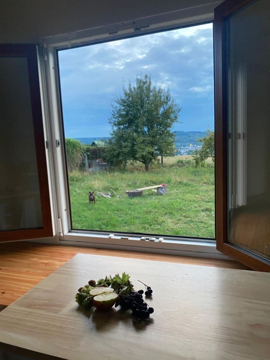 Prodej chaty, chalupy 20 m², pozemek 600 m², Studená Hůra, Česká Třebová, Pardubický kraj Prodej chaty, chalupy 20 m², pozemek 600 m², Studená Hůra, Česká Třebová, Pardubický kraj