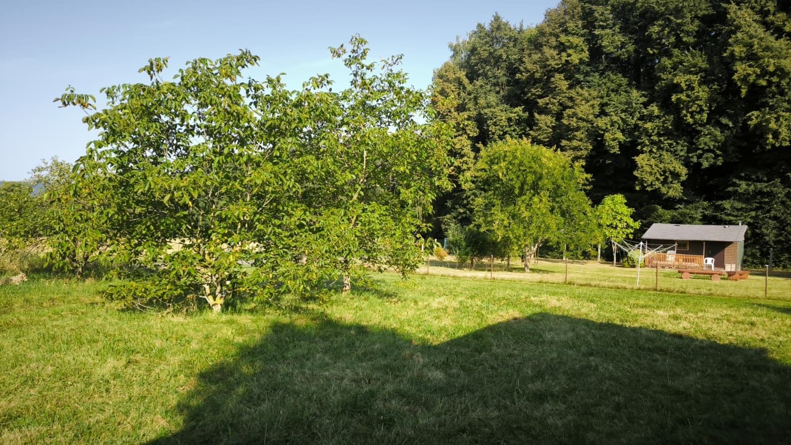 Prodej chaty, chalupy 20 m², pozemek 600 m², Studená Hůra, Česká Třebová, Pardubický kraj Prodej chaty, chalupy 20 m², pozemek 600 m², Studená Hůra, Česká Třebová, Pardubický kraj