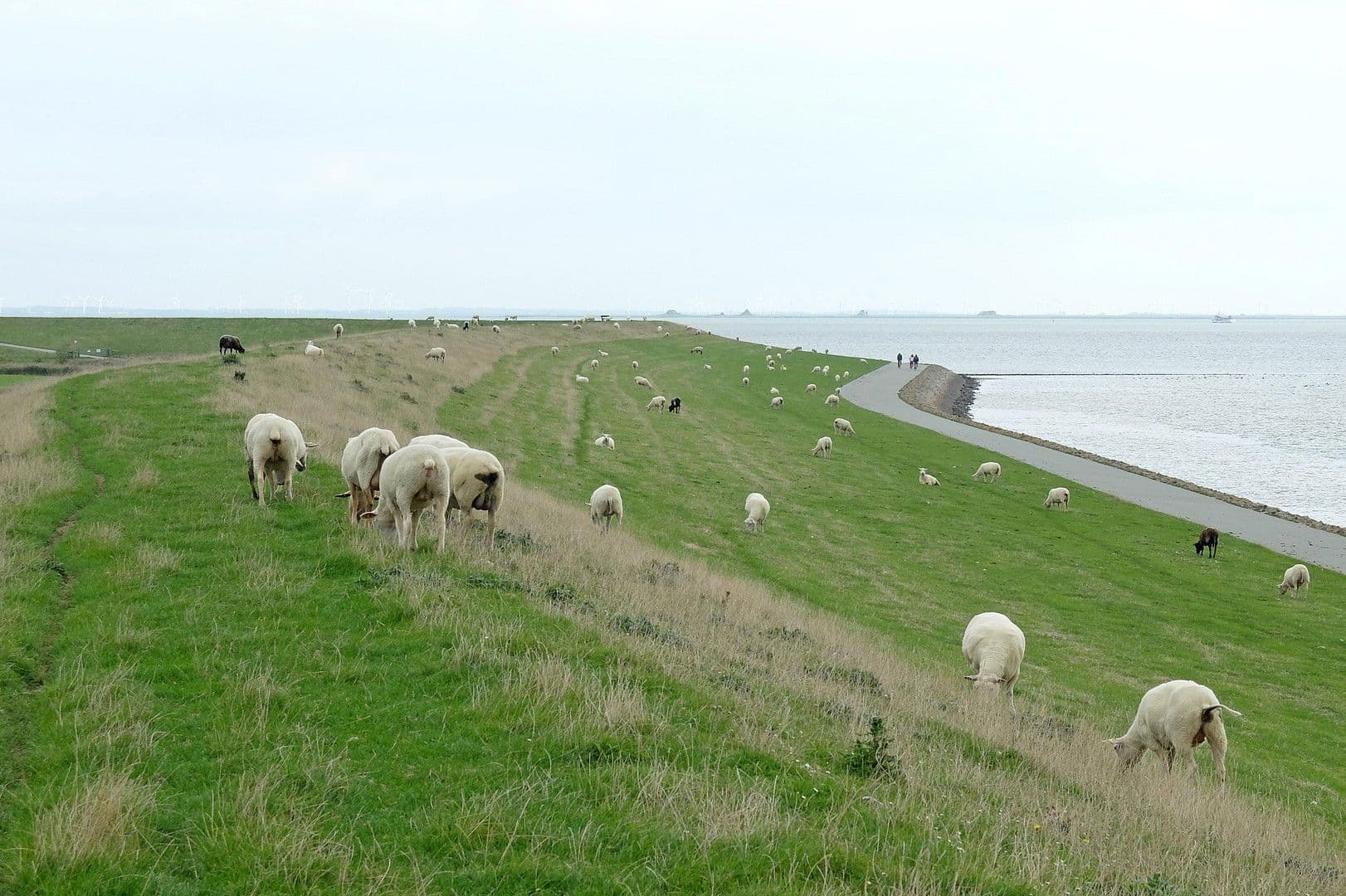 Prodej domu 130 m², pozemek 1.100 m², Pellworm, Šlesvicko-Holštýnsko Prodej domu 130 m², pozemek 1.100 m², Pellworm, Šlesvicko-Holštýnsko