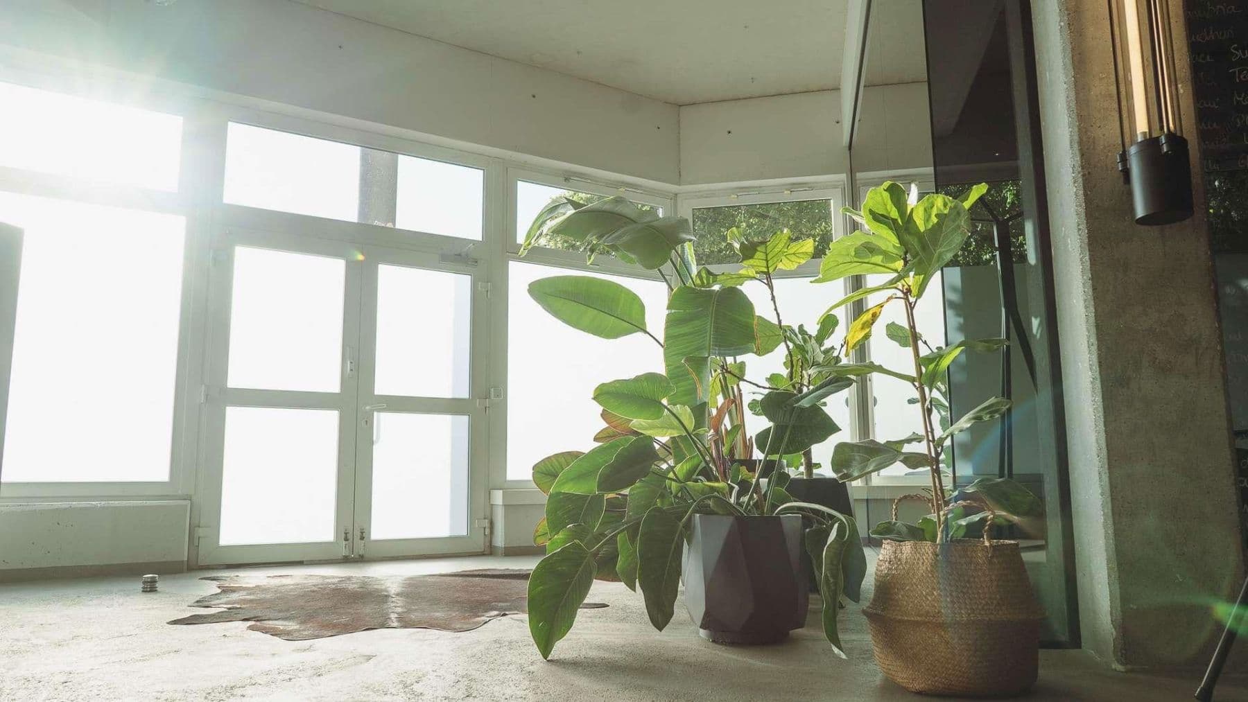 Pronájem kanceláře 288 m², Danziger Str. 211, Berlin, Berlín Pronájem kanceláře 288 m², Danziger Str. 211, Berlin, Berlín