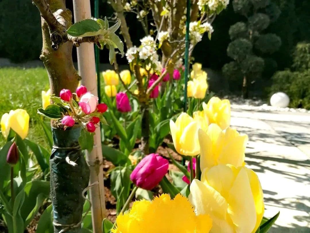 Pronájem domu 210 m², pozemek 670 m², Wilhermsdorf, Bavorsko Pronájem domu 210 m², pozemek 670 m², Wilhermsdorf, Bavorsko