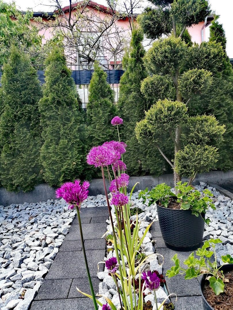 Pronájem domu 210 m², pozemek 670 m², Wilhermsdorf, Bavorsko Pronájem domu 210 m², pozemek 670 m², Wilhermsdorf, Bavorsko