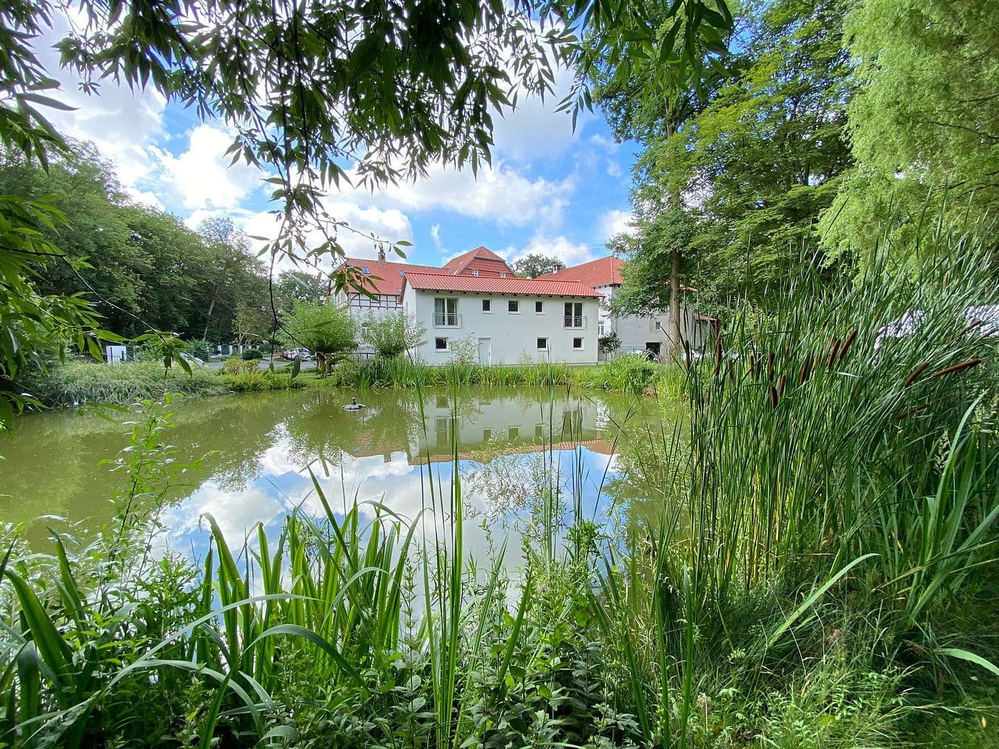 Pronájem bytu 2+1 32 m², Braunschweig, Dolní Sasko Pronájem bytu 2+1 32 m², Braunschweig, Dolní Sasko