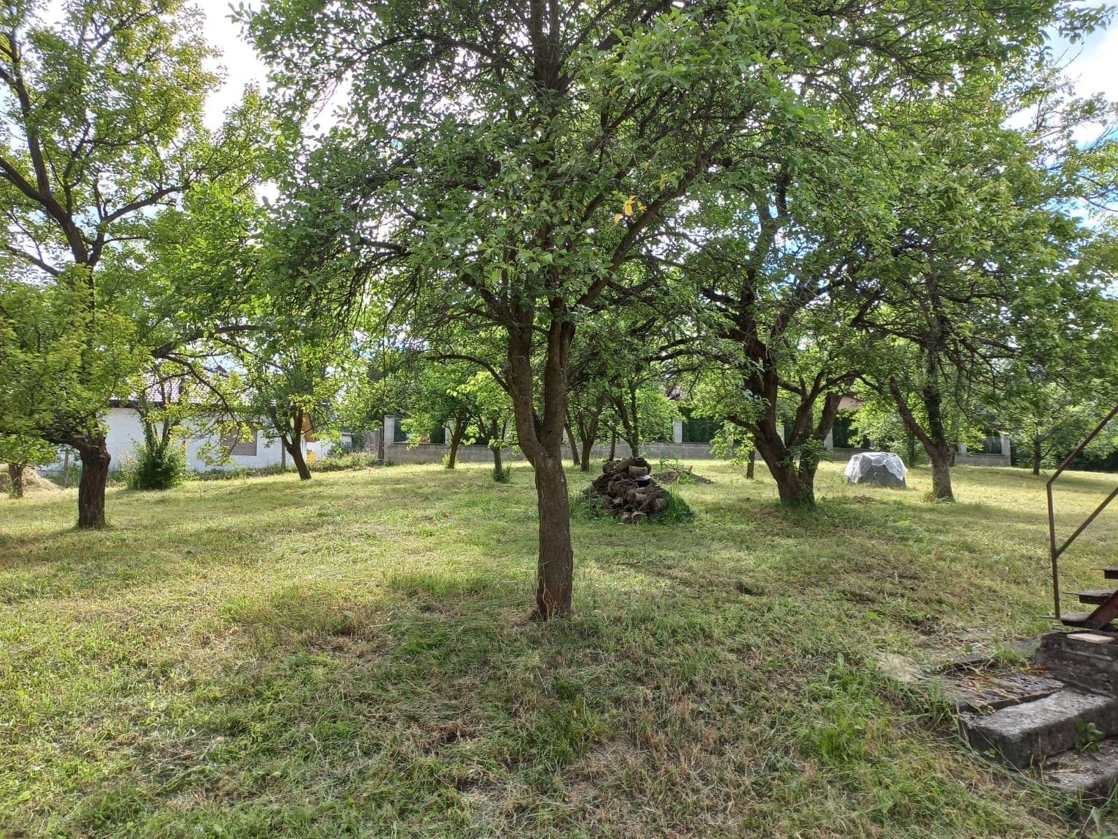 Prodej domu 274 m², pozemek 2.441 m², Hlavní, Březí, Středočeský kraj Prodej domu 274 m², pozemek 2.441 m², Hlavní, Březí, Středočeský kraj