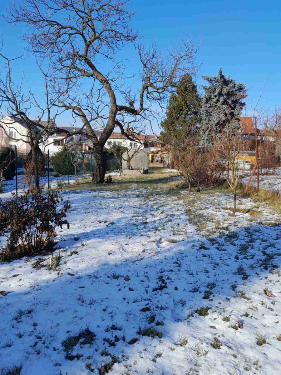 Prodej domu 115 m², pozemek 600 m², Kytnerova, Brno, Jihomoravský kraj Prodej domu 115 m², pozemek 600 m², Kytnerova, Brno, Jihomoravský kraj