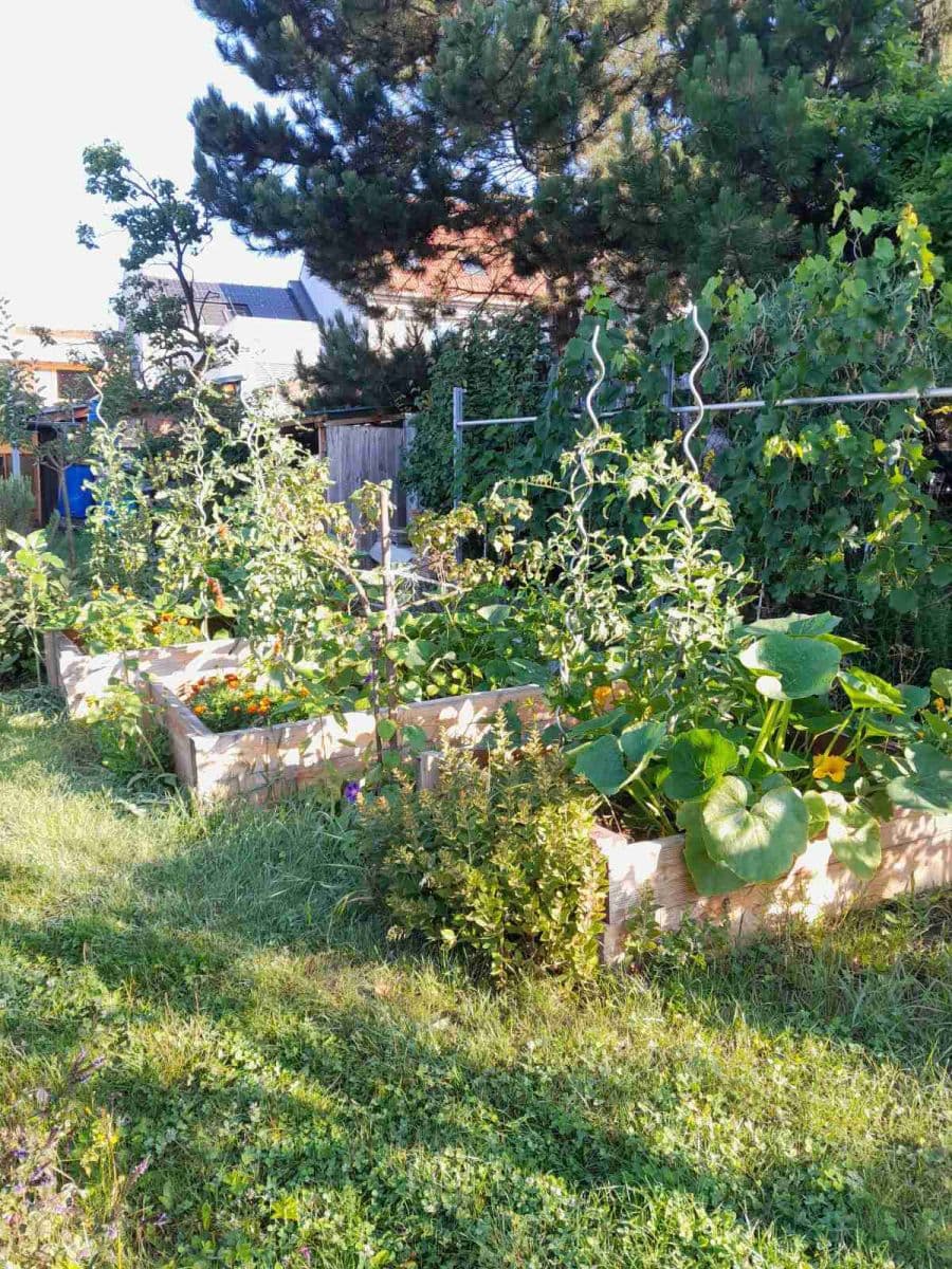 Prodej domu 115 m², pozemek 600 m², Kytnerova, Brno, Jihomoravský kraj Prodej domu 115 m², pozemek 600 m², Kytnerova, Brno, Jihomoravský kraj