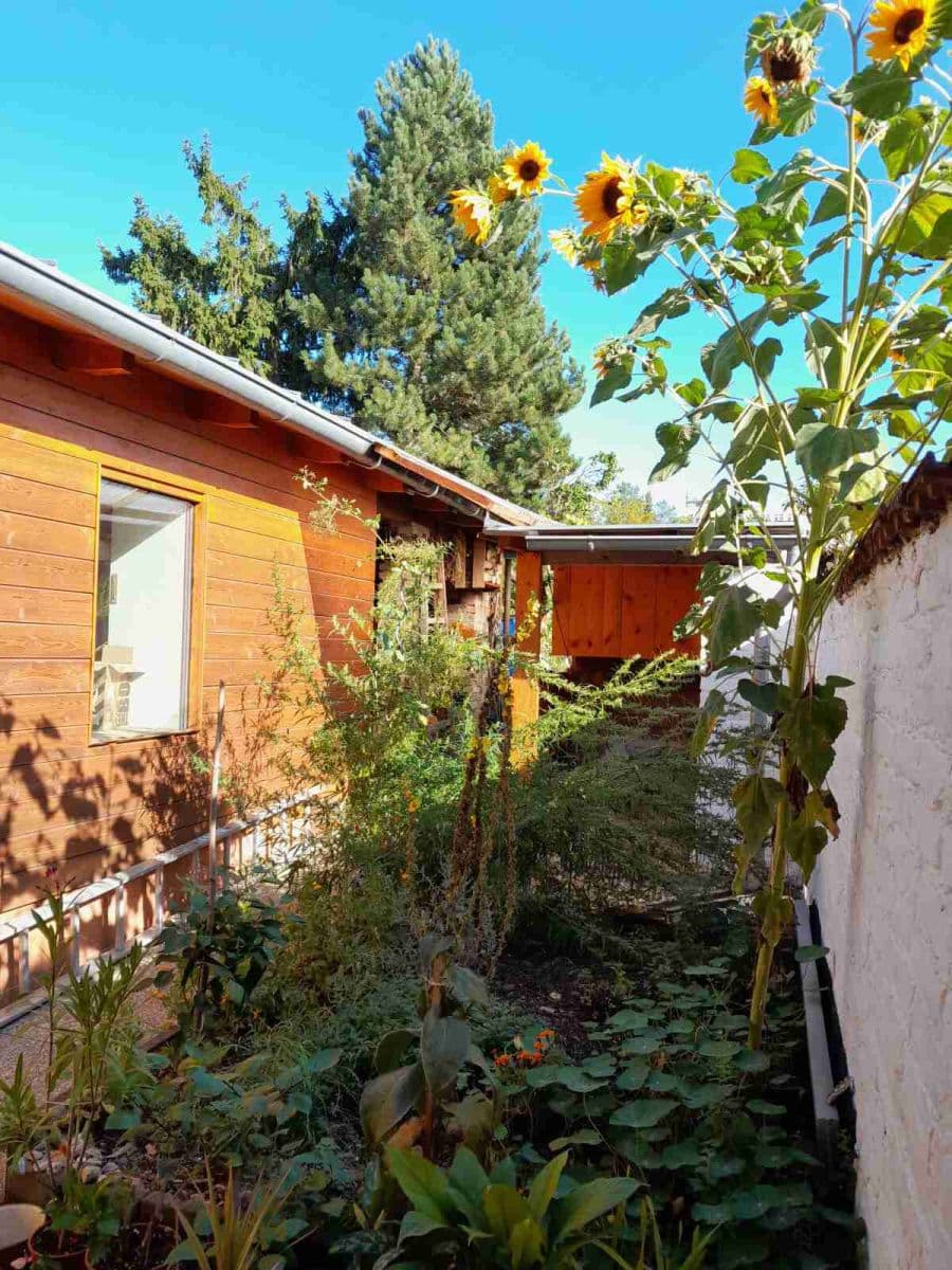 Prodej domu 115 m², pozemek 600 m², Kytnerova, Brno, Jihomoravský kraj Prodej domu 115 m², pozemek 600 m², Kytnerova, Brno, Jihomoravský kraj