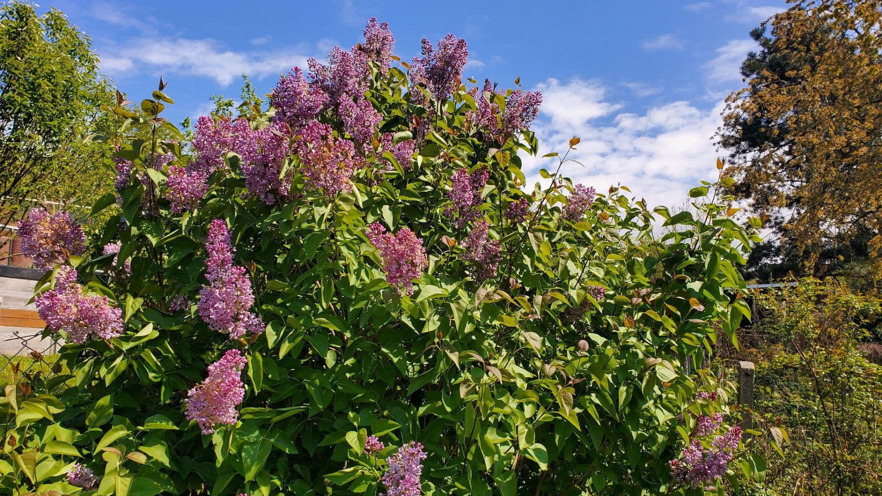 Prodej domu 273 m², pozemek 474 m², Pohlitzer Straße 15, Greiz, Durynsko Prodej domu 273 m², pozemek 474 m², Pohlitzer Straße 15, Greiz, Durynsko